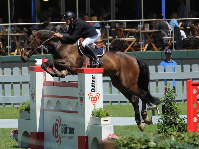 费城内线强势统治篮下