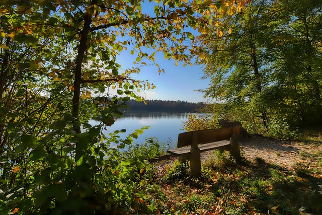 现国手、年薪550万，打个杯赛场均3分！球迷：单换郭艾伦就这实力？